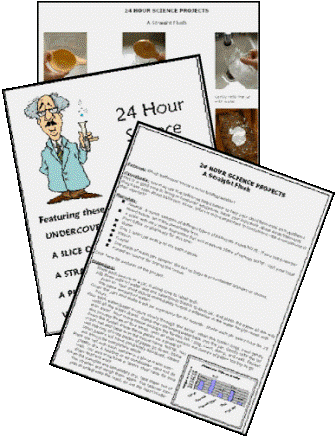 24 Hour Science Projects - Five Fast And Easy Science Project Guides - $14.95